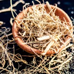 Vetiver Root Powder